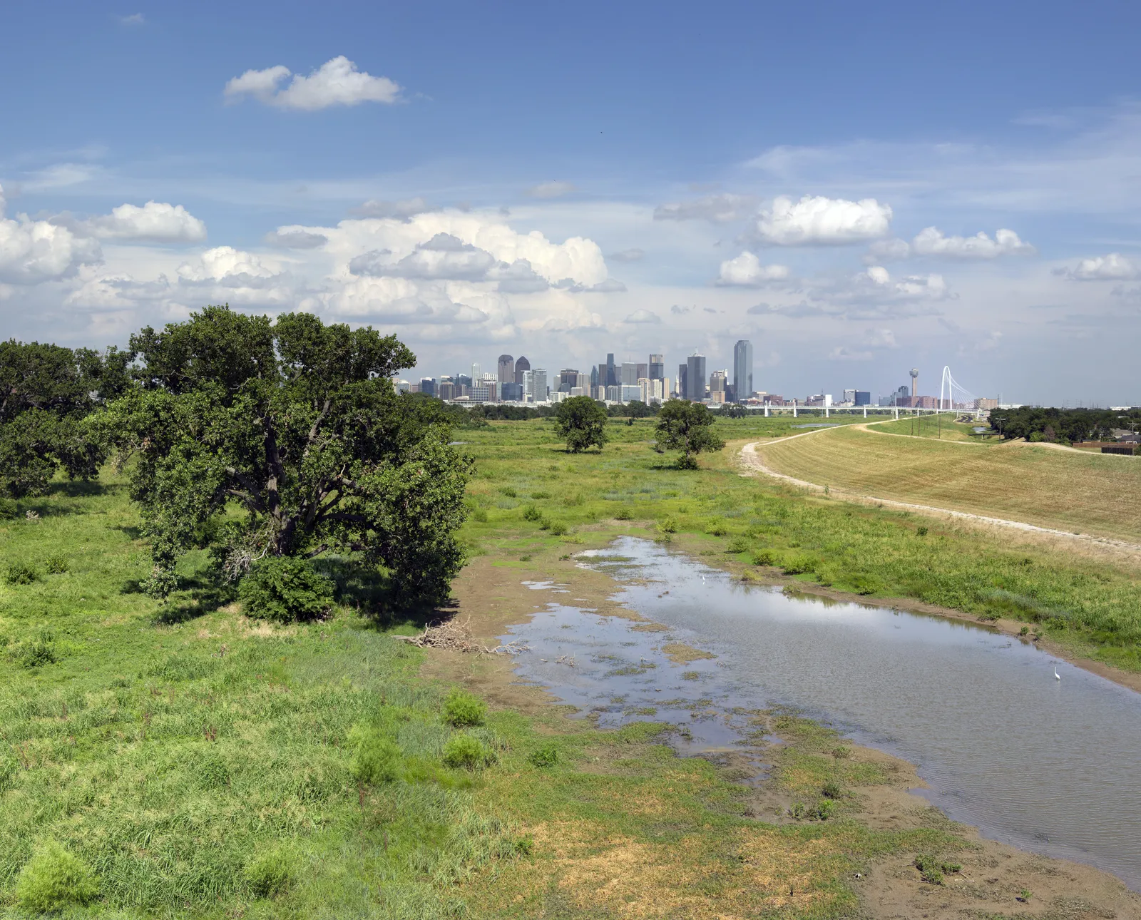 The Trinity River floodplain in summer with the downtown Dallas skyline in the distance